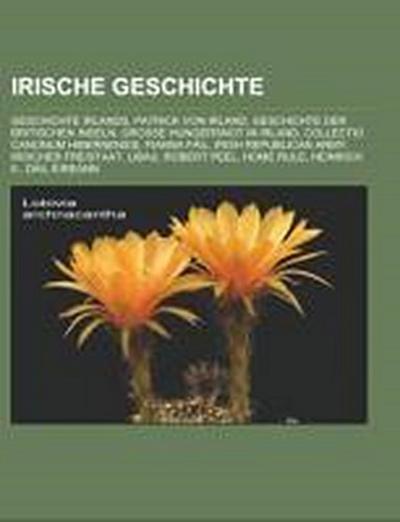 Irische Geschichte