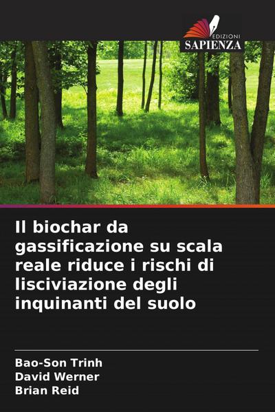 Il biochar da gassificazione su scala reale riduce i rischi di lisciviazione degli inquinanti del suolo