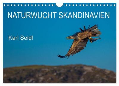 Naturwucht Skandinavien (Wandkalender 2026 DIN A4 quer), CALVENDO Monatskalender