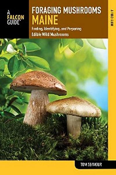 Foraging Mushrooms Maine