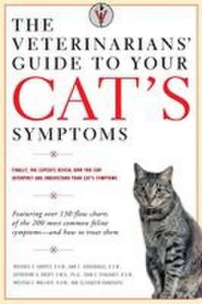 The Veterinarians’ Guide to Your Cat’s Symptoms
