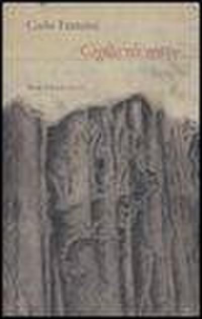 Franzini, C: Ciglio di scavo