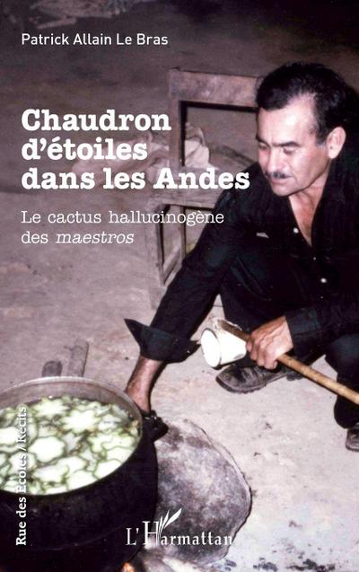 Chaudron d’étoiles dans les Andes