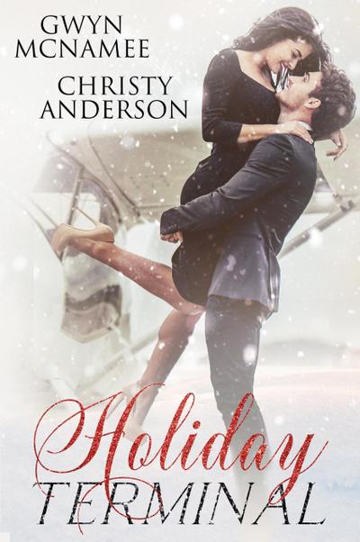 Holiday Terminal (The Warren Family Holidays, #1)