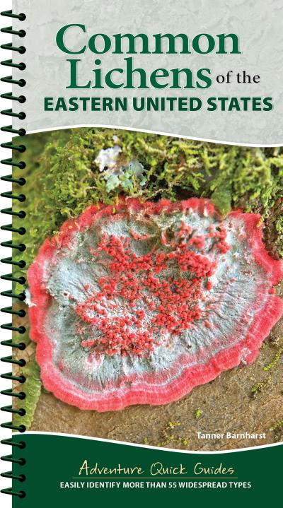 Common Lichens of the Eastern United States