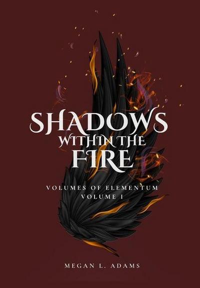 Shadows Within the Fire