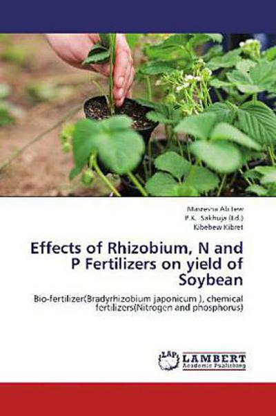 Effects of Rhizobium, N and P Fertilizers on yield of Soybean
