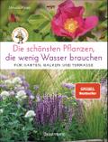 Die schönsten Pflanzen, die wenig Wasser brauchen für Garten, Balkon und Terrasse
