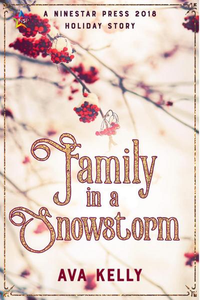 Family in a Snowstorm (Snow Globes, #2)