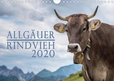 Allgäuer Rindvieh 2020 (Wandkalender 2020 DIN A4 quer)