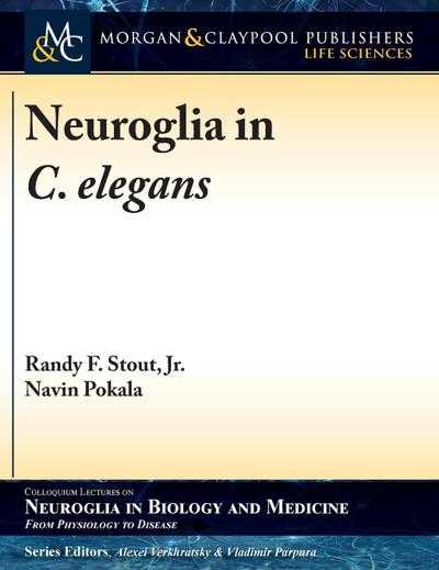 Neuroglia in C. elegans
