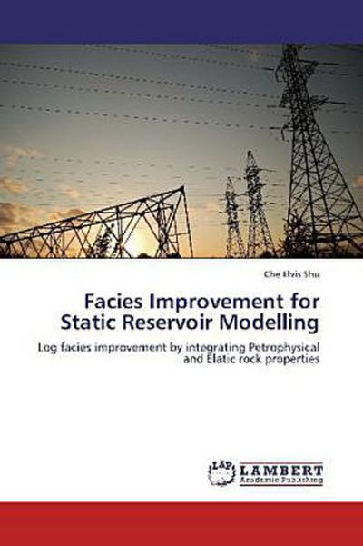 Facies Improvement for Static Reservoir Modelling