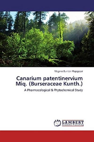 Canarium patentinervium Miq. (Burseraceae Kunth.)