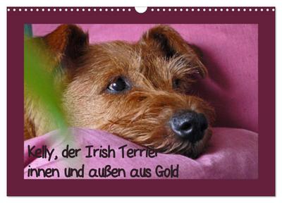 Kelly, der Irish Terrier - innen und außen aus Gold (Wandkalender 2024 DIN A3 quer), CALVENDO Monatskalender