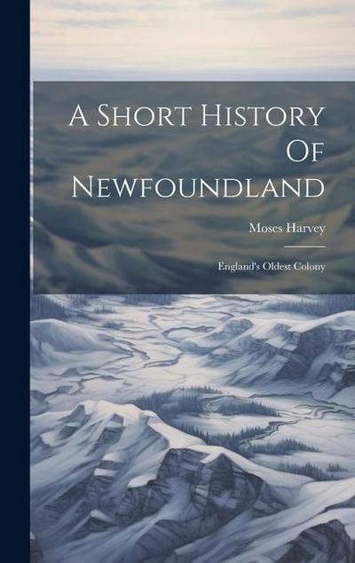 A Short History Of Newfoundland: England’s Oldest Colony
