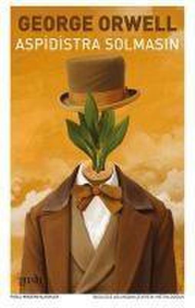 Aspidistra Solmasin
