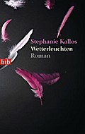 Wetterleuchten: Roman