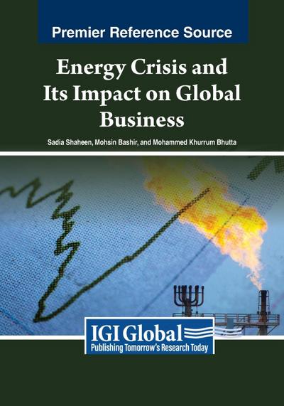 Energy Crisis and Its Impact on Global Business