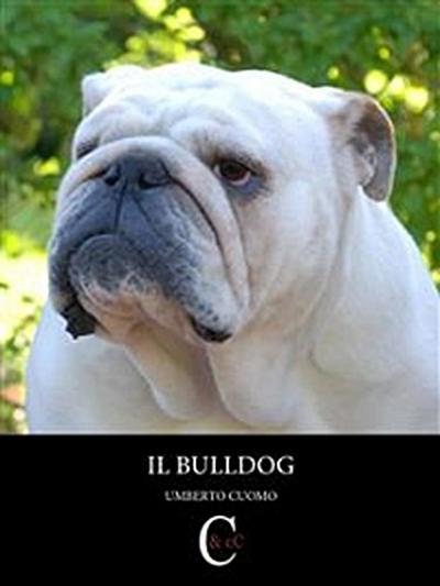 Il bulldog
