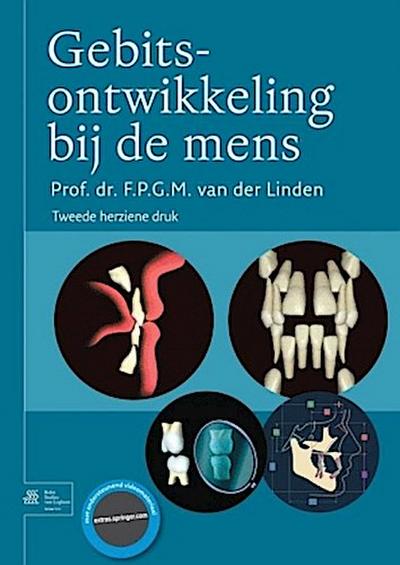 Gebitsontwikkeling bij de mens