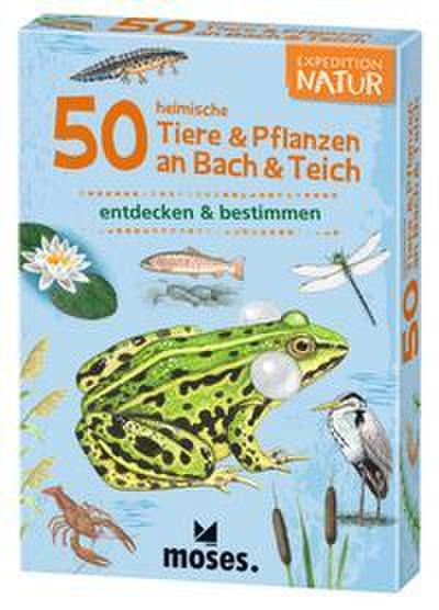 50 heimische Tiere & Pflanzen an Bach & Teich