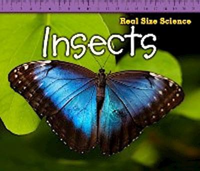 Insects