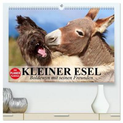 Kleiner Esel. Boldewyn mit seinen Freunden (hochwertiger Premium Wandkalender 2026 DIN A2 quer), Kunstdruck in Hochglanz