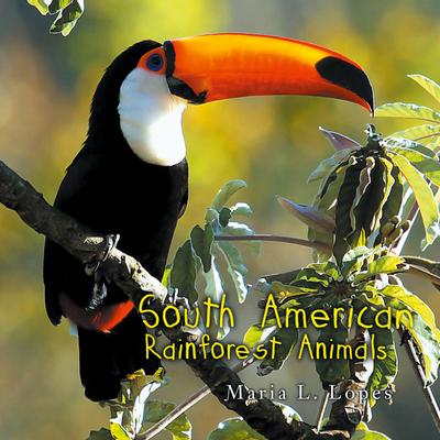 South American Rainforest Animals