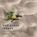 Evergreen Leaves