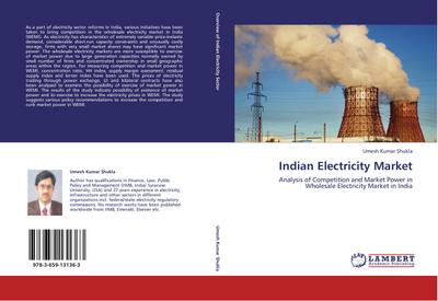 Indian Electricity Market