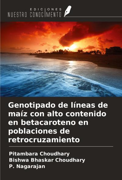 Genotipado de líneas de maíz con alto contenido en betacaroteno en poblaciones de retrocruzamiento