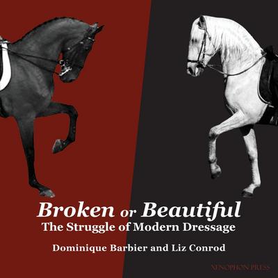 Broken or Beautiful