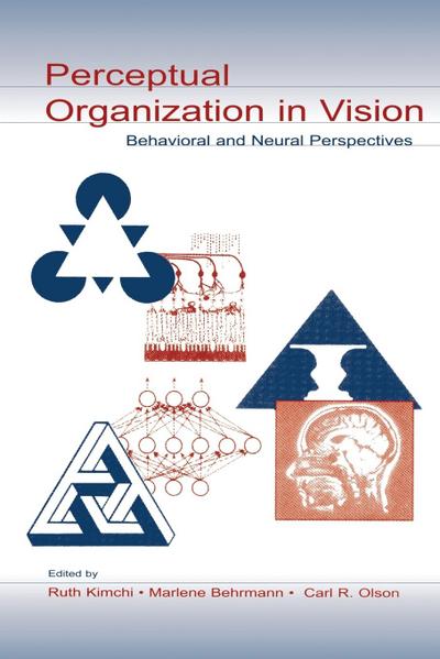 Perceptual Organization in Vision