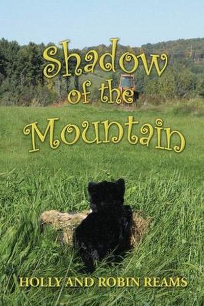 Shadow of the Mountain