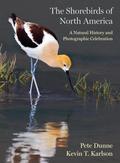 The Shorebirds of North America