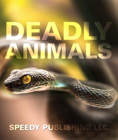 Deadly Animals in the Wild