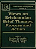 Views On Ericksonian Brief Therapy