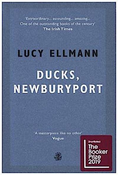 Ducks, Newburyport