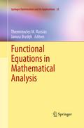 Functional Equations in Mathematical Analysis