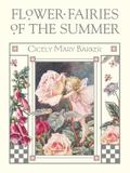 Flower Fairies of the Summer