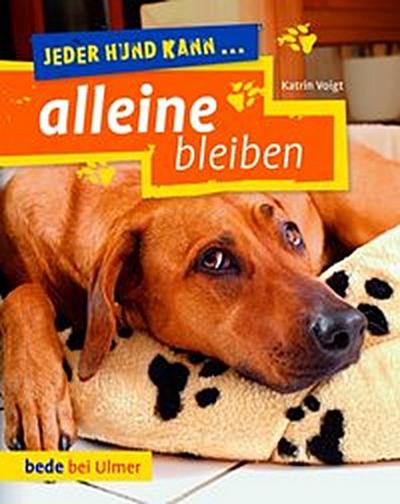 Jeder Hund kann alleine bleiben