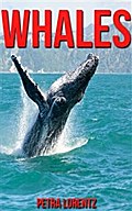Whales