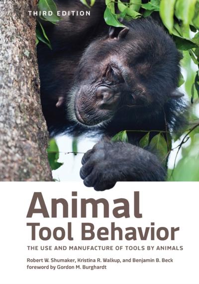 Animal Tool Behavior