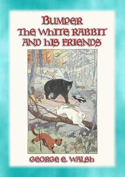 BUMPER THE WHITE RABBIT AND FRIENDS - 16 illustrated stories of Bumper and his Friends