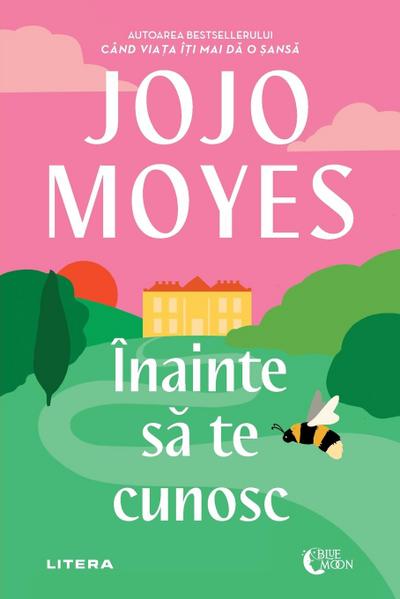 Înainte s&#259; te cunosc