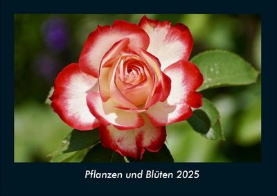 Pflanzen und Blüten 2025 Fotokalender DIN A4