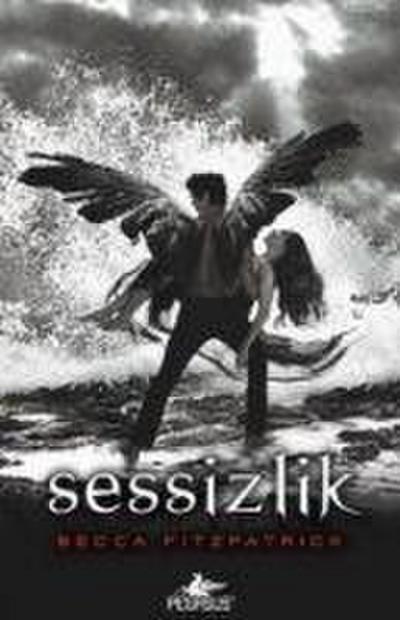Sessizlik - Hush Hush Serisi 3. Kitap