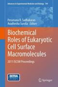 Biochemical Roles of Eukaryotic Cell Surface Macro