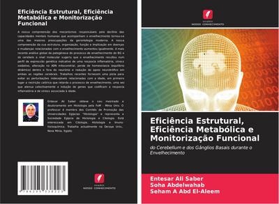 Eficiência Estrutural, Eficiência Metabólica e Monitorização Funcional