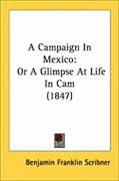A Campaign In Mexico